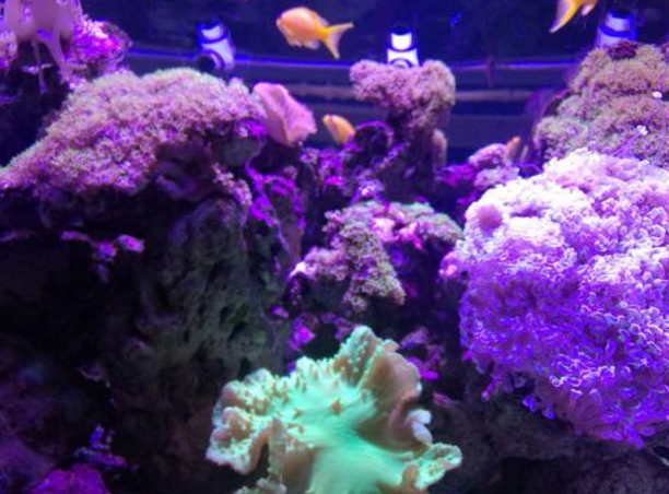 郑州情侣十大必去之地 郑州适合情侣去的景点插图3