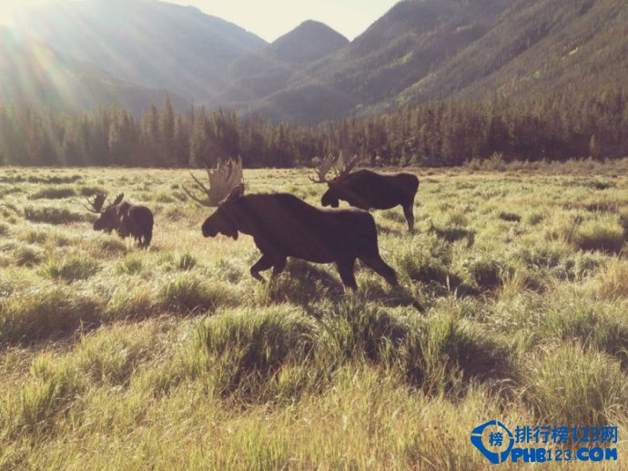 美国十大国家公园排行榜插图8