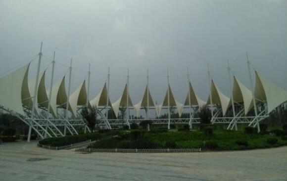 东营好玩的地方排行榜 东营十大最好玩的地方推荐插图7