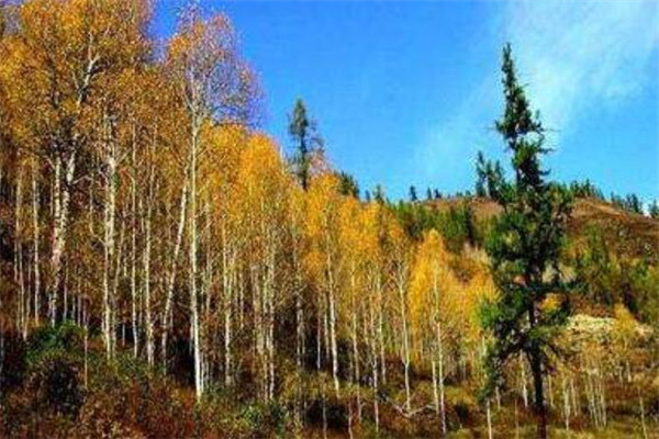 佳木斯有什么好玩的地方？盘点佳木斯好玩的地方排行榜插图6