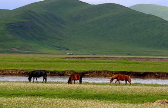 四川十大旅游景点排名 九寨沟第七,第二被称为“蜀山之王”插图8