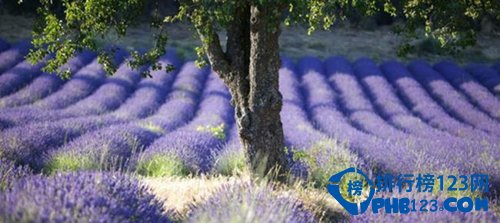 2016不可错过的八大旅行地排行榜插图