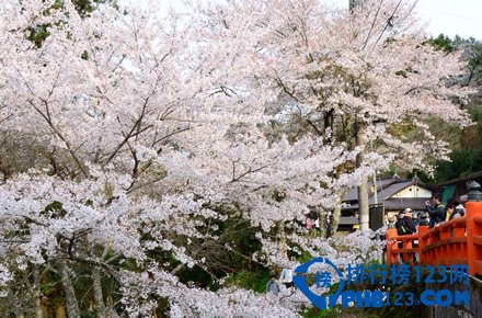 日本十大赏樱胜地排行榜插图2