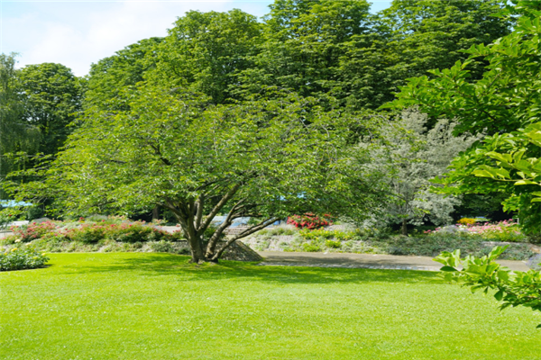 杭州十大公园排行榜：文化公园上榜，它古色古香插图3