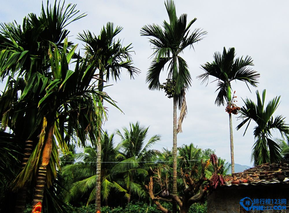 海南省澄迈县八大景点八大小吃排行榜插图18