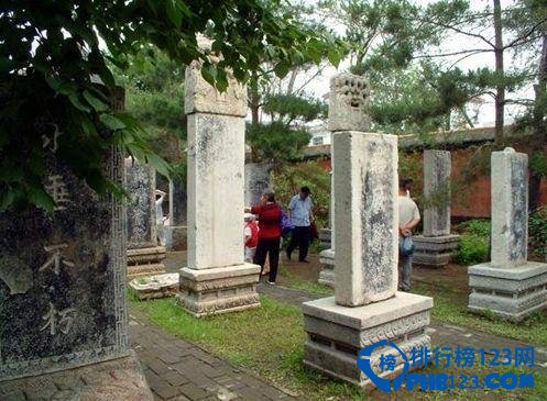 盘点中国十大遗迹遗址，一起来领略它们独特的一面吧插图8