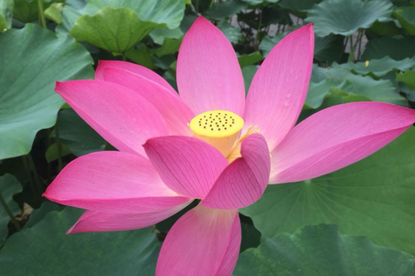 河北十大受欢迎的景点：鸽子窝公园上榜，它是杂技之乡插图5