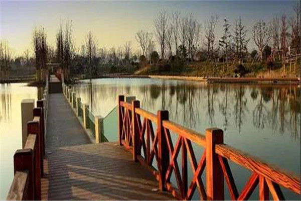 常州十大公园广场排名:青枫公园上榜,第三湿地为主插图2 常州十大公园广场排名:青枫公园上榜,第三湿地为主插图2
