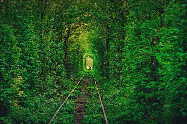 世界十大最美的地方 普罗旺斯上榜，马尔代夫位列第一插图5