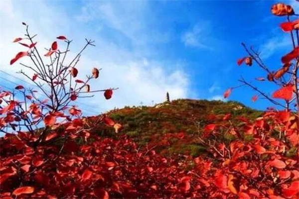 太原最好玩的地方推荐 太原好玩的地方排行榜插图8