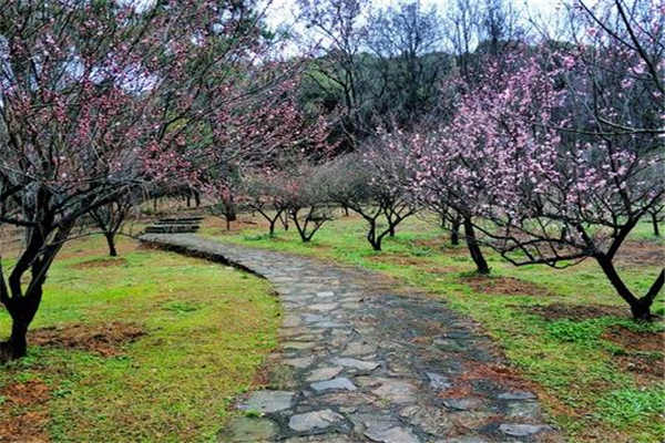 无锡十大最具特色的景点 灵谷洞排第二，太湖榜上有名插图4