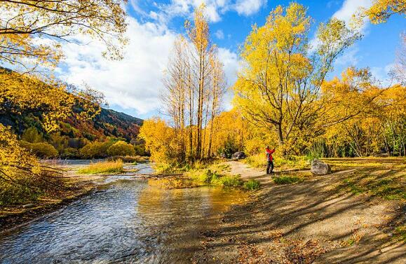 新西兰十大景点，首都惠灵顿一个没有，大多都在奥克兰插图4