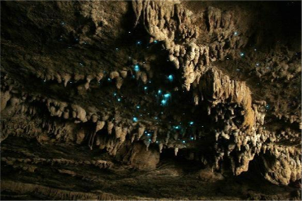 全球十大魅力洞穴：杰达溶洞上榜，它是最大水晶洞穴插图2