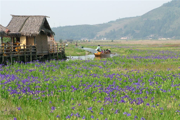 保山十大景区排行榜：腾冲湿地上榜，栖花岭团第七插图8
