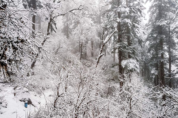 冬季好玩又不贵的城市，风景网红穷游浪漫都安排上插图8