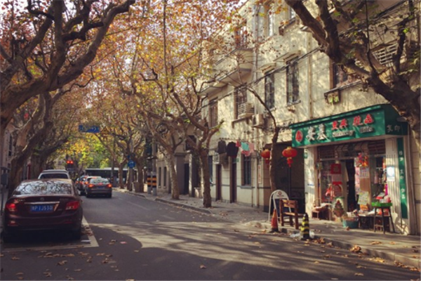 上海年轻人必去的地方 朱家角上榜，田子坊最受欢迎插图3