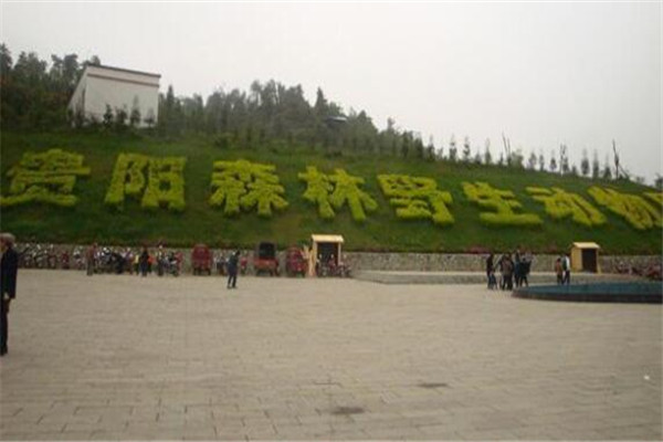 贵阳有什么好玩的地方？盘点贵阳好玩的地方排行榜插图3