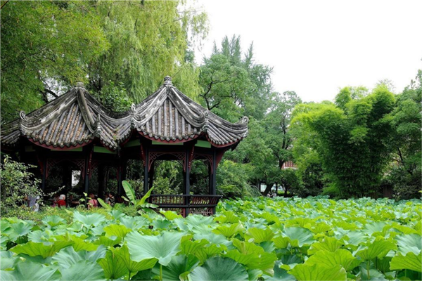 成都周边游最美景点推荐 都江堰历史底蕴深厚毕棚沟自然风光插图8