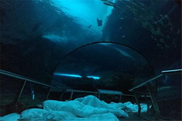 台湾游旅游最佳景点 十分小镇上榜，你知道其它几个吗插图2