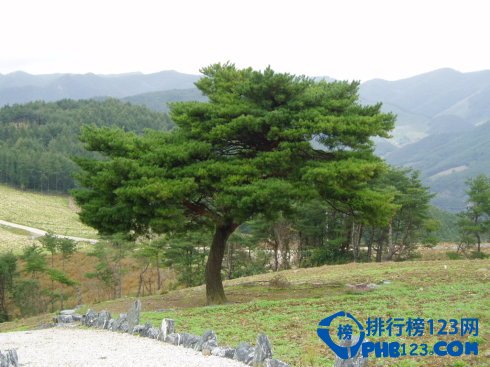 盘点十大韩国电影拍摄地 令人印象深刻插图