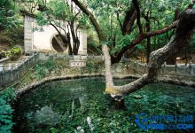 一定要带爱人同去的云南十大旅游地 春光正好爱心萌动|爱分享