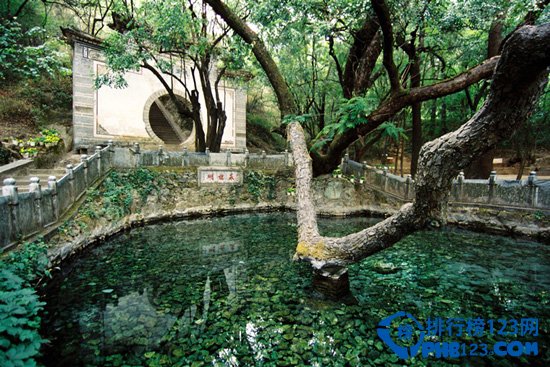 一定要带爱人同去的云南十大旅游地 春光正好爱心萌动插图9