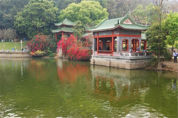 东莞十大最具特色景点：东莞可园第二，第一观音佛教文化插图5