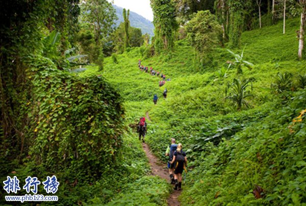 世界十大危险旅游景点，火山/鳄鱼/毒气样样致命插图9