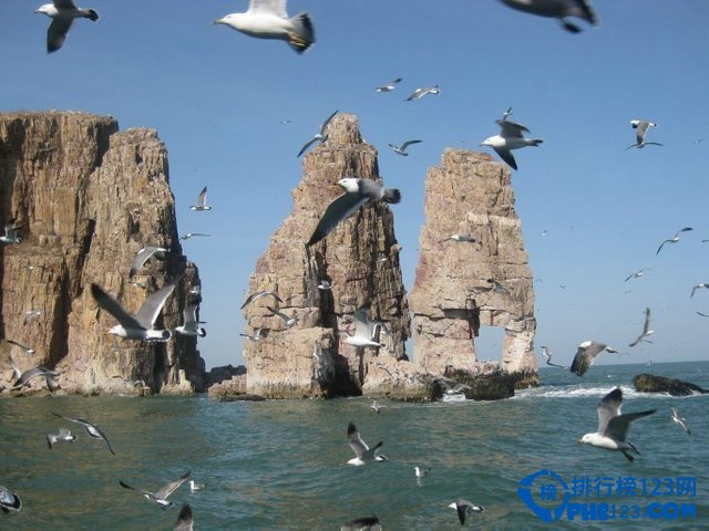 国内冬季不冷的十大旅游胜地插图4