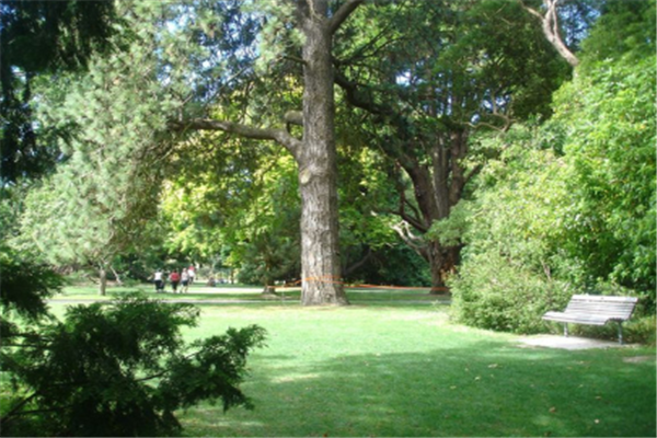 广州必去的旅游4个景点：白云山上榜，它是广州第一高楼插图3