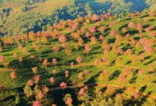 玉溪最好玩的地方推荐 玉溪好玩的地方排行榜|爱分享