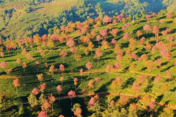 玉溪最好玩的地方推荐 玉溪好玩的地方排行榜插图9