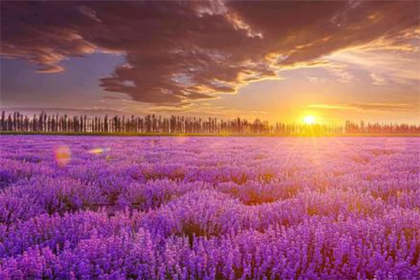 新疆最佳旅游景点排行榜：吐鲁番上榜，第五是高山草甸插图3