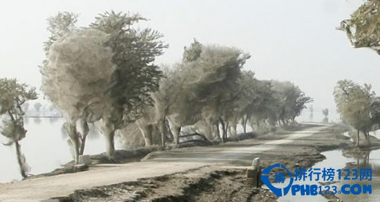 自然界最不可思议的十大奇景观排行榜插图5