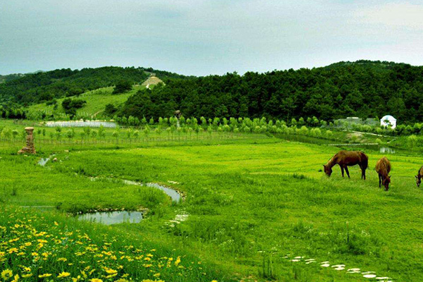 武汉抖音网红地点:周末放松好去处知音号 涨渡湖 木兰草原上榜插图8