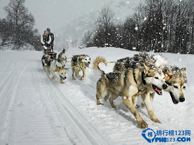 世界上十大最刺激的冒险游戏排行榜插图3