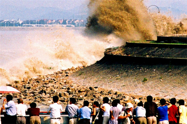 嘉兴十大风景名胜排行榜：回头潮上榜，钱塘江大潮是特色插图5
