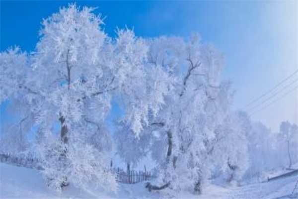 中国十大最美雾凇观赏地：衡山上榜，第六是天鹅栖息地插图1