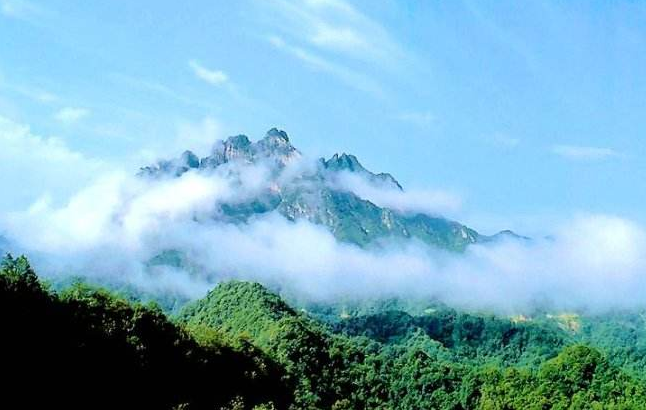 广州抖音网红打卡圣地 抖音网红拍照打卡地点插图2