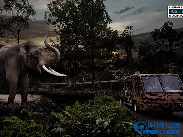 世界10大最美的夜景赏玩地排行榜插图8