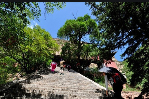 2020山西免费开放的景点推荐：王莽岭上榜，它是最高的木塔插图4