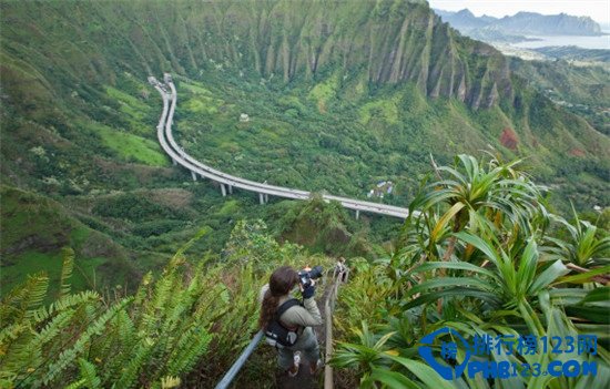 全球七大至尊阶梯排行榜插图1