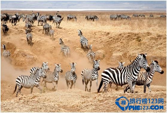 世界上最美的国家公园 漓江上榜插图24