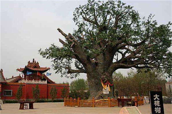 山西抖音网红景点排行榜 悬空寺堪称奇迹 平遥古城历史久远插图8