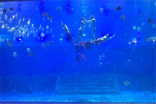 重庆十大热门动植物园:南山植物园上榜，第十在室内插图1