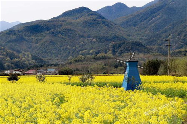 池州十大风景名胜排名：望华楼上榜，第8网红花海插图7