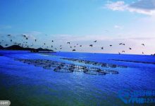 【浙江看海的好地方】浙江看海10大最美海滩推荐|爱分享