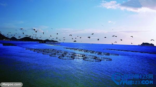 【浙江看海的好地方】浙江看海10大最美海滩推荐插图9