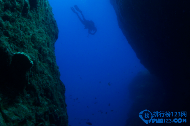 盘点全球最危险潜水区TOP10插图