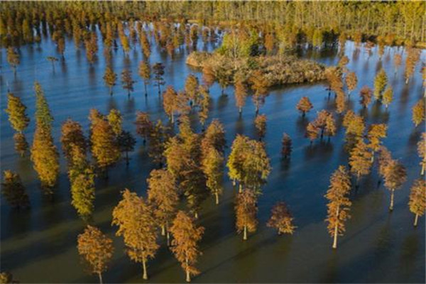 滁州十大公园广场排名：花园湖公园上榜，第五看荷花插图4